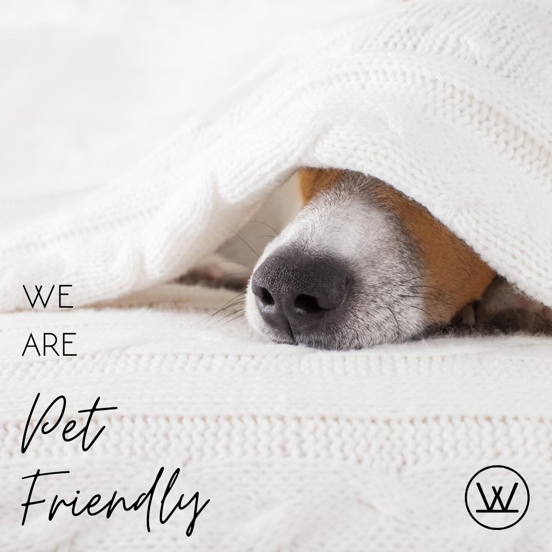 WellsJunction's tweet image. Your four-legged family member is welcome here at Wells Junction! Call us today to learn about our pet policy! 🐶