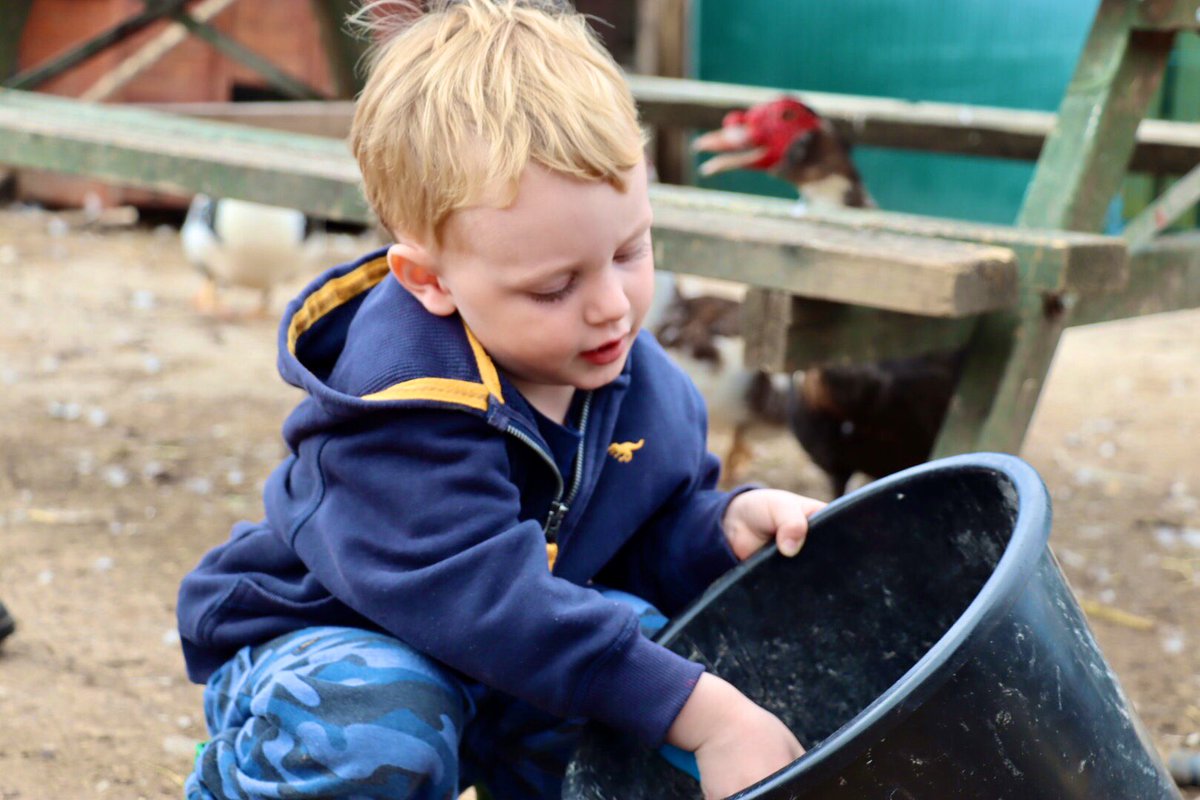 StillKara1's tweet photo. We’re always sleepy after a farm visit, even this one who can nap on the way home. Perfect excuse to look back on some photos and plan a calendar.
#sleepyday #farmwork #calendar #calendarplanning https://t.co/2IrHw0hhce