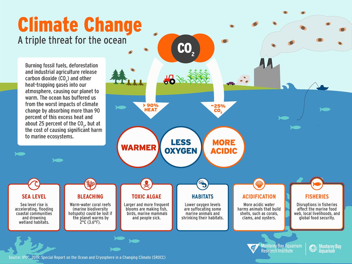 Complex weather patterns and oceanic cycles make studying these processes challenging, but the more we learn about oceanic systems, the more we will be able to understand how climate change—and the extreme weather that comes along with it—impacts all ocean life.