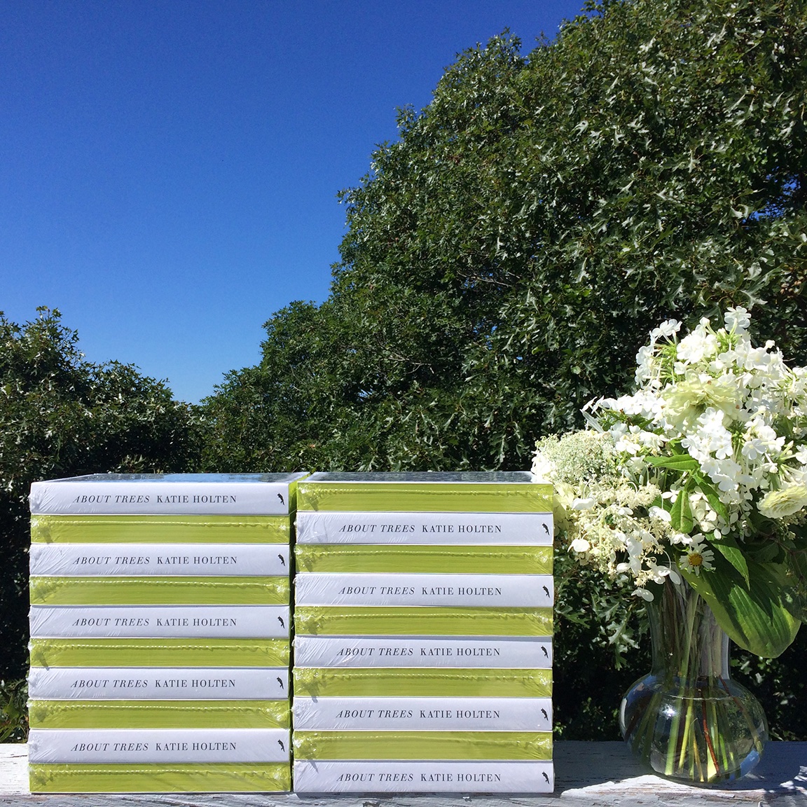 katieholten's tweet photo. Tomorrow I'll be speaking with the Chilmark Library about my book #AboutTrees and the living tree alphabets including the new Irish Tree Alphabet. Noon my time here in CA, 3pm local time in Chilmark/NYC, 8pm in Ireland. Email Tracy for the zoom invite: tthorpe@clamsnet.org ๐ฑ https://t.co/NB5T41cYmU