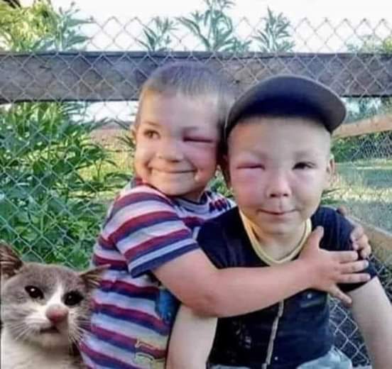 onderseren's tweet photo. Arı kovanını kurcalamışlar, sonuç ortada. Kedinin buruna bak senin ne işin var ya https://t.co/ELR7TlLnna