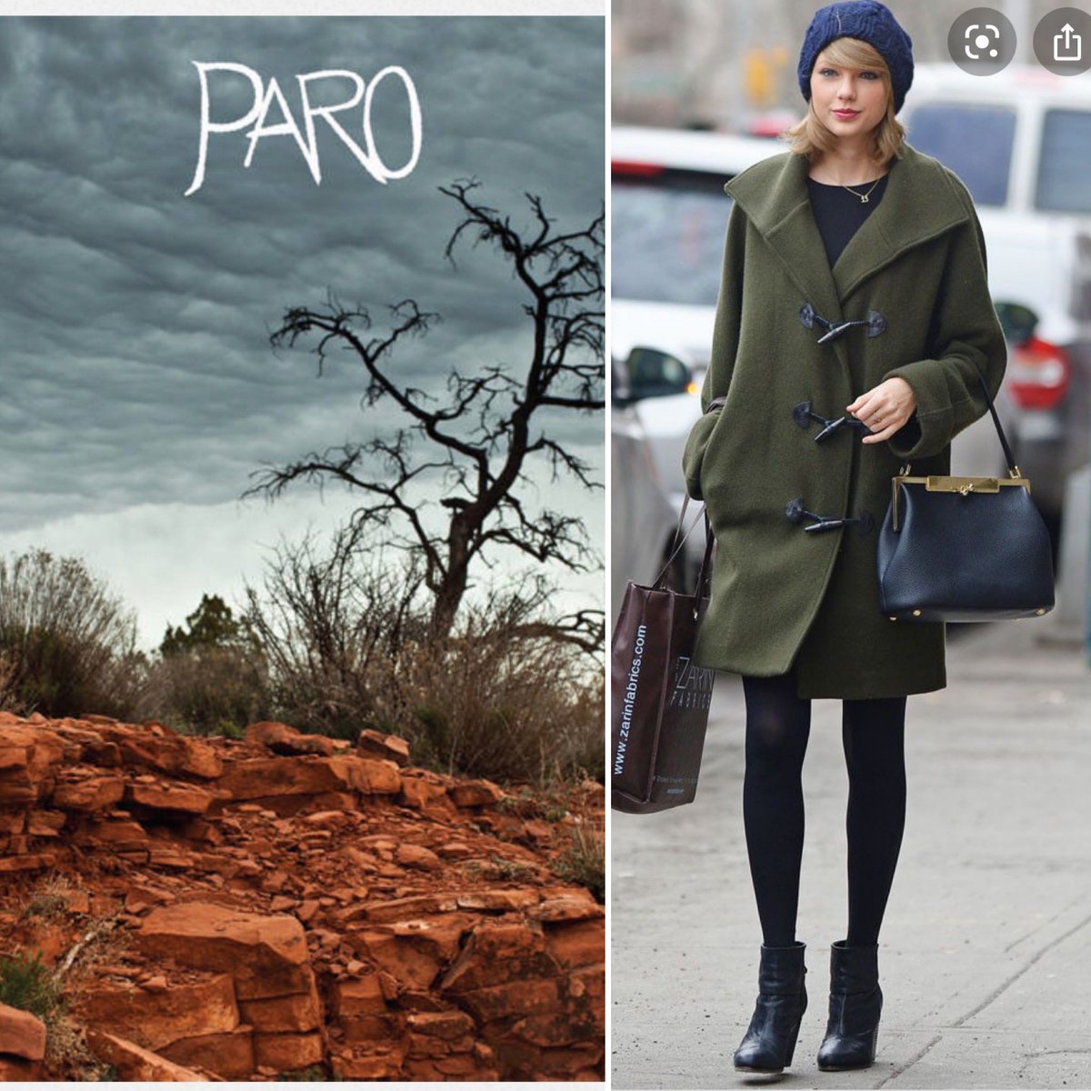 Brice Randall Bickford:  https://bricerandallbickford.bandcamp.com&nbsp;   Taylor Swift as Randy’s     Album PARO (2017)