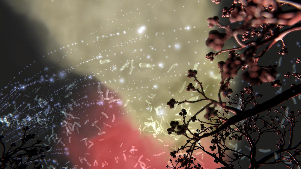 AnnaDumitriu's tweet image. I'm sharing my #MicrobeArt2020 for #internationalmicroorganismday @FEMSmicro
"Susceptible" is a data-driven interactive installation made with @alexmayarts based on tuberculosis genomics research by @crypticproject annadumitriu.co.uk/portfolio/susc… #ArtsDRIVA