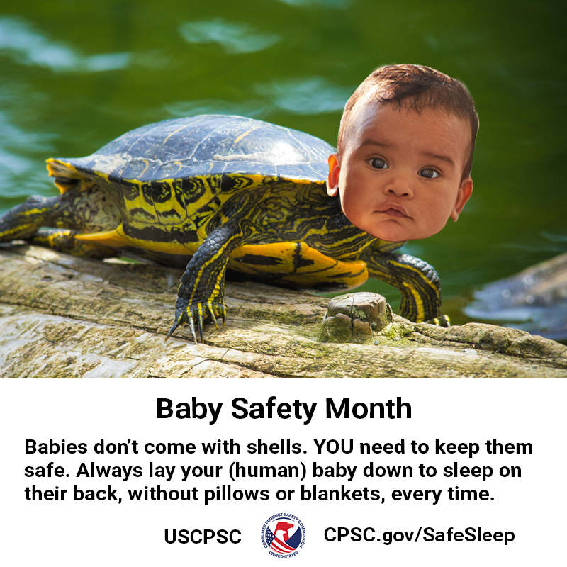 A turtle with the head of a baby. The text reads: Baby safety month. Babies don't come with shells. YOU need to keep them safe. Always lay your (human) baby down to sleep on their back, without pillows or blankets, every time.