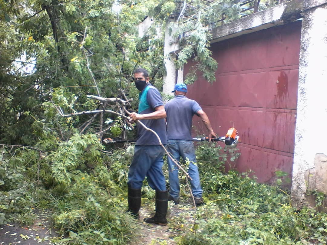 #2Sep Hoy desde muy temprano nos desplegamos con cuadrillas de limpieza de alcantarillas, revisión de las estaciones de rebombeo de Los Cocos y Aguacatal, repique de ramas y atención a las comunidades del Sur de Maracay. Seguimos atentos ante cualquier novedad. <a href="/MarcoTorresPSUV/">Rodolfo Marco Torres</a>