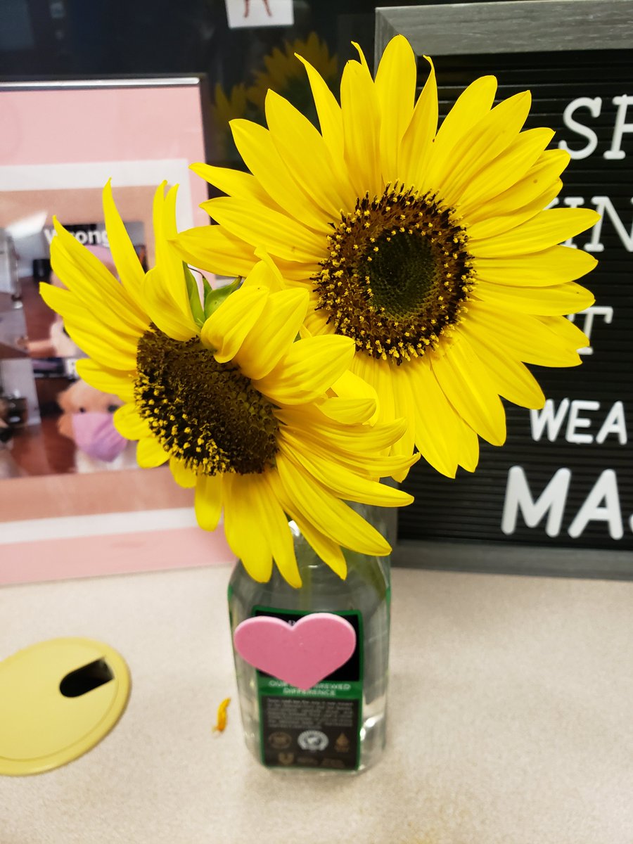 KellyCaffero's tweet photo. Thank you to the DiFranco family for thinking of us! We appreciate your kindness! @PHSD23 @D23Sullivan https://t.co/96gOzGfLqU