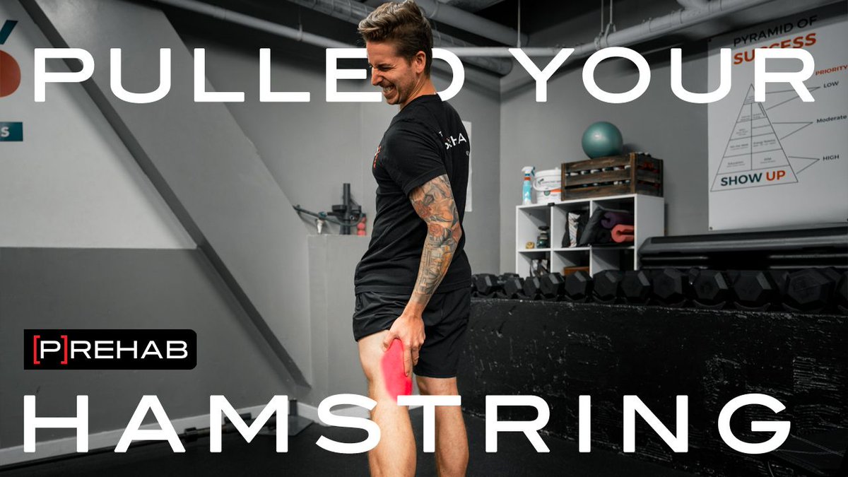 ThePrehabGuys's tweet image. ‼️ ‼️ NEW YOUTUBE EPISODE ‼️ ‼️ 

Episode 31 - Hamstring Rehab: How to Manage a Hamstring Strain! 
Check it out - buff.ly/31IYYzn

#TPG #ThePrehabGuys #PulledHamstring