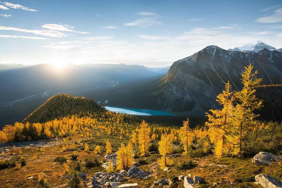 freshtracker's tweet photo. Golden trees over a turquoise lake? Yes, please! 💛
https://t.co/m8O02md1cp
📍The Larches in Lake Louise, Alberta
📸 @fairmontcll / @nick_fitzhardinge
#LakeLouise #Alberta #VisitAB https://t.co/8fYh3sk5LI