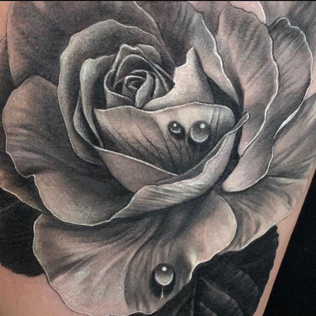 Rose with Water Droplets Tattoo Meaning