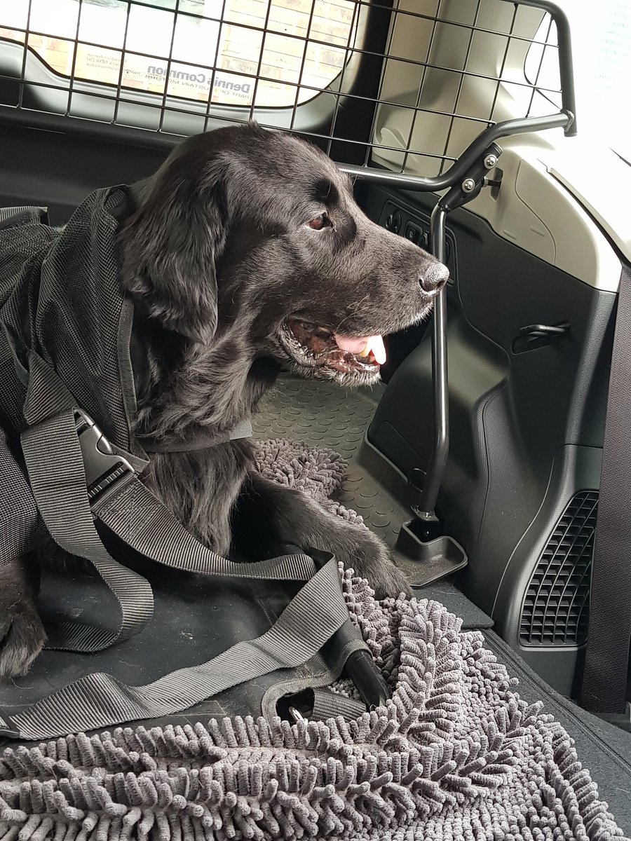 David #FBPE @Snyberwiz @BlackDrongo.bsky.social tweet media