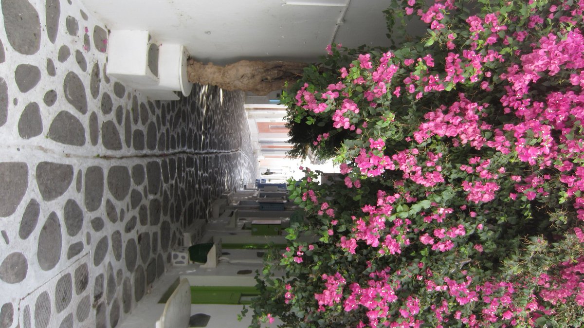 Gjertrudvennene tweet media