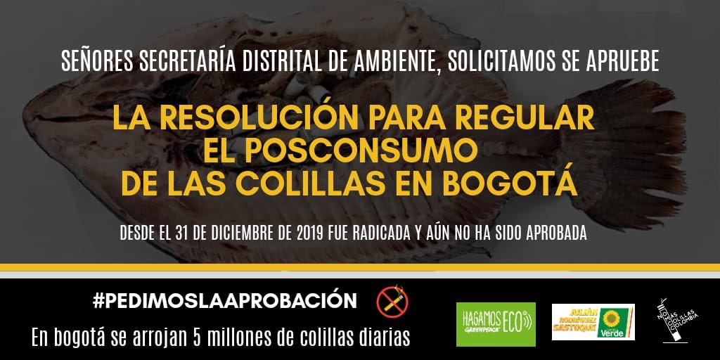 ElJuliSastoque's tweet photo. Junto a grandes líderes y organizaciones ambientales, hoy radicamos un derecho de petición para preguntarle a la @ambientebogota que ha pasado con la regulación del posconsumo de las colillas de cigarrillo. #PedimosLaAprobación de la resolución, conversemos! 💪🏼🍃✊🏼 https://t.co/WLkOwxni7o