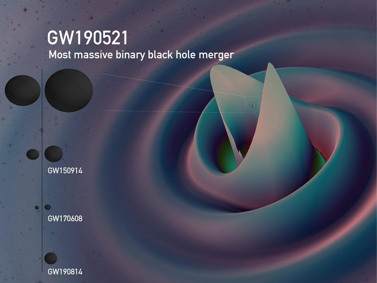 The largest black hole yet detected was detected today, and it’s super big news for a lot of reasons! Some exciting information about GW190521 below![image credit: Deborah Ferguson, Karan Jani, Deirdre Shoemaker, Pablo Laguna, Georgia Tech, MAYA Collaboration]
