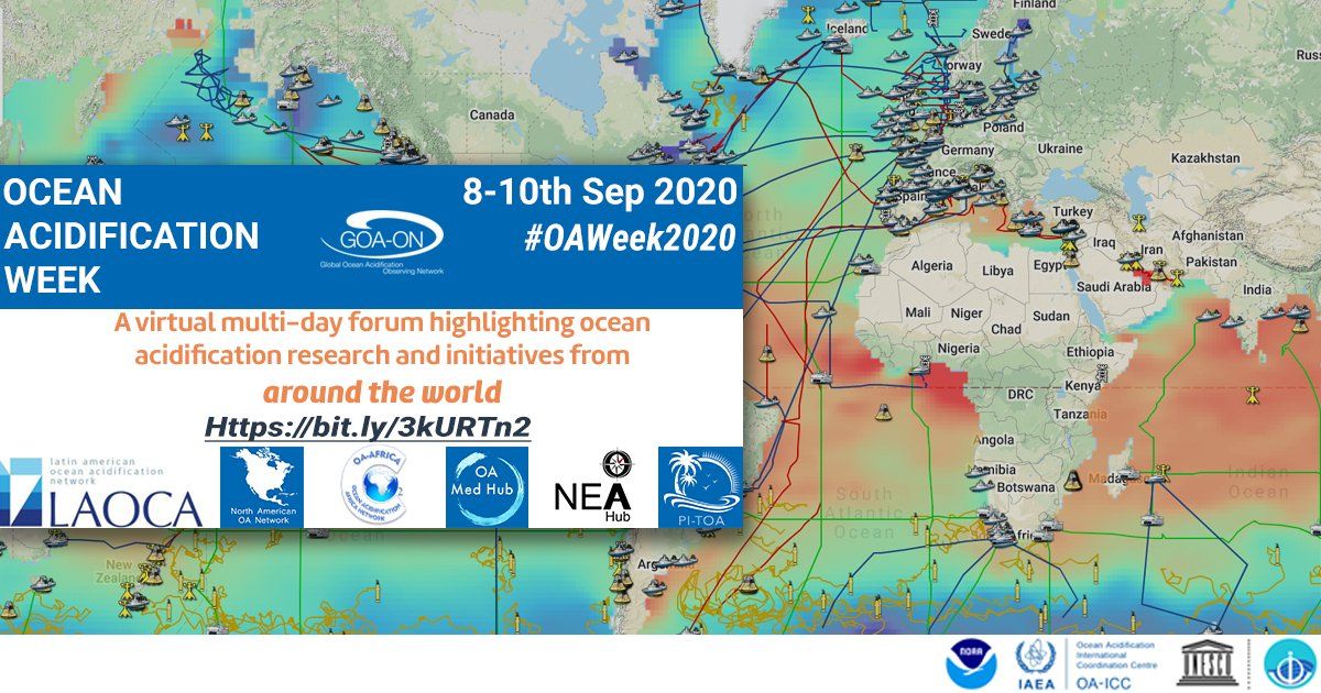oceanfdn's tweet image. In 2014 we launched we launched the &quot;Friends of GOA-ON&quot; fund. Join our longtime friends @goa_on for #OAWeek2020! #TOF Program Officer, Alexis Valauri-Orton will be speaking on September 10 at 11:00AM EDT. Register for her session here buff.ly/3gSPdTF #OceanAcidification