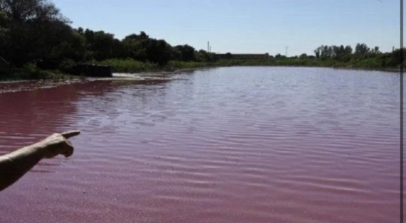 Another issue that is happening in Paraguay too is that a company has been in charge of polluting a lake and none of the authorities has responded to the complaints of the residents of the place,