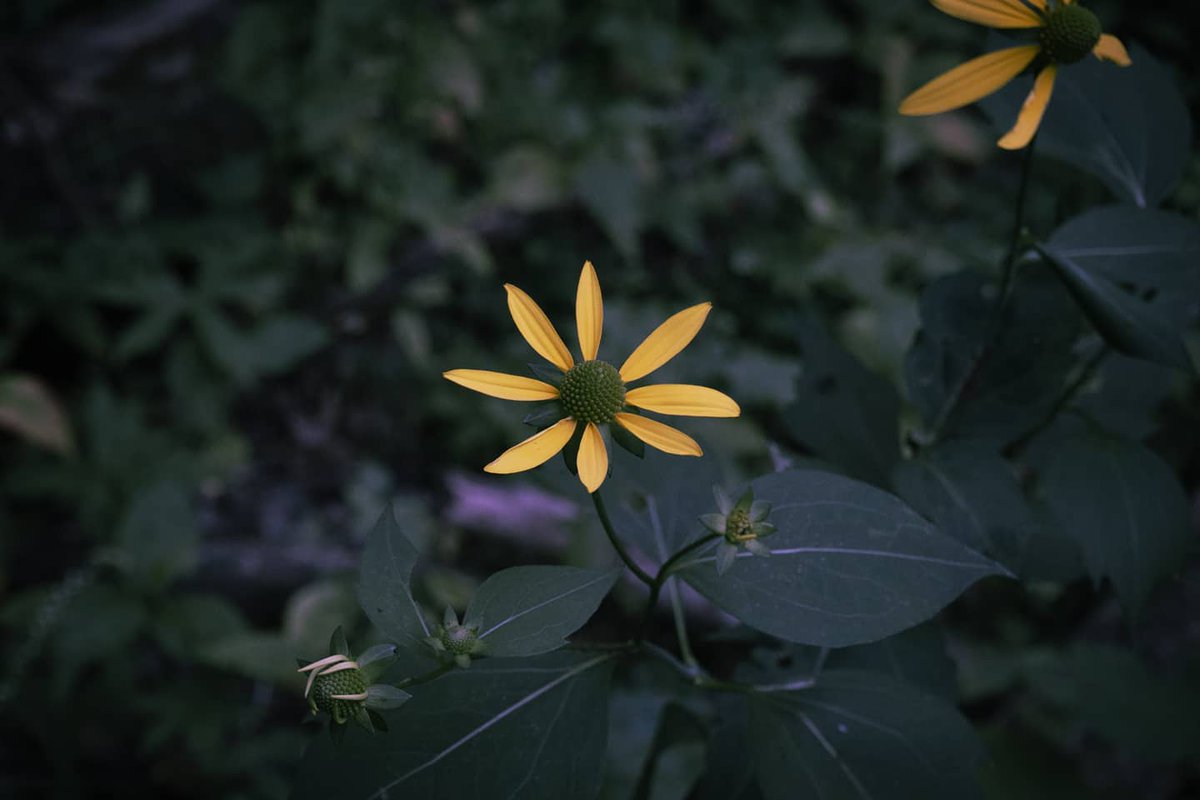 JRussPhoto's tweet image. I'll be posting photos like these on this account. Hope you like them