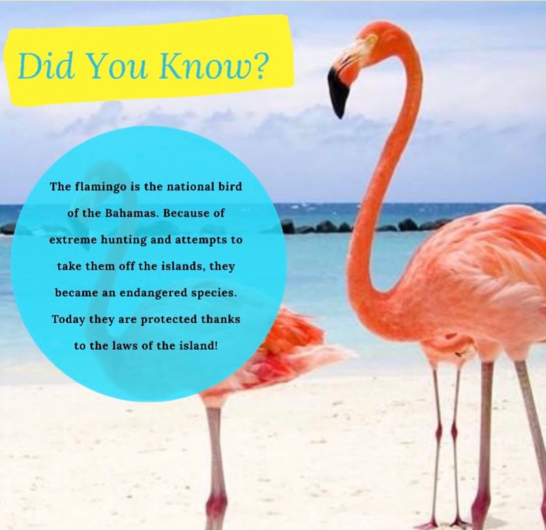 Did you know ?
