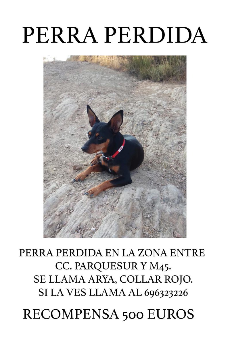 Javier Ramos (@javito13) on Twitter photo <a href="/perezreverte/">Arturo Pérez-Reverte</a> le agradecería un retweet de todo corazón. Gracias por adelantado <a href="/perezreverte/">Arturo Pérez-Reverte</a> le agradecería un retweet de todo corazón. Gracias por adelantado