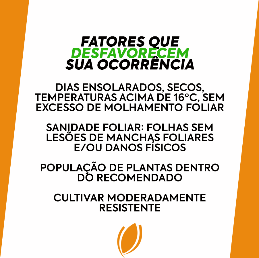 biotrigo's tweet photo. ATENÇÃO PRODUTORES DO PR!
Passe para o lado para conferir esse material com sintomas, fatores que favorecem e desfavorecem a ocorrência de BACTERIOSE:

#trigo #bacteriose #agricultura #agro https://t.co/Bu4vV4Lzut