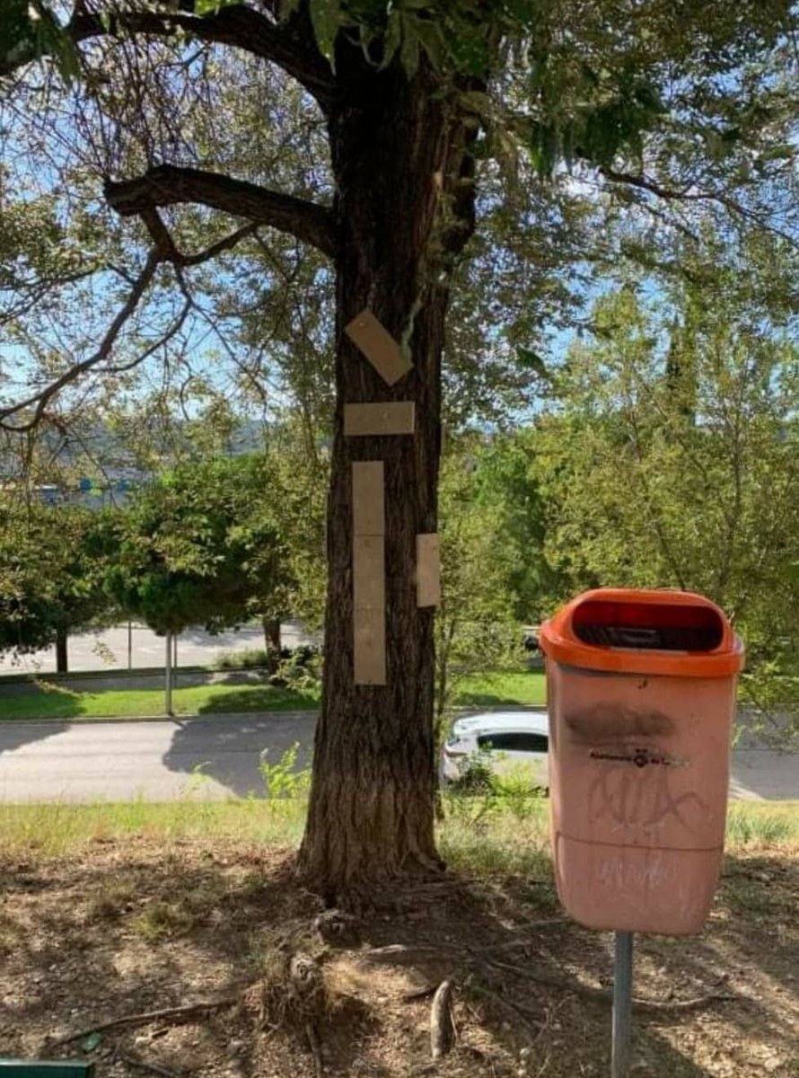 CanparelladaT's tweet photo. Els has vist amb les seves gàbies portant els seus ocells a que cantin oi? Doncs claven fustes als arbres per penjar les gàbies Sou uns egoistes,falsos amics dels animals i la natura #egoistes Es denunciable? @PoliciaTrs @puleja72 @jordi_ballart @AvvPer 
https://t.co/IqXh5TgCTw https://t.co/aaYXURqO06