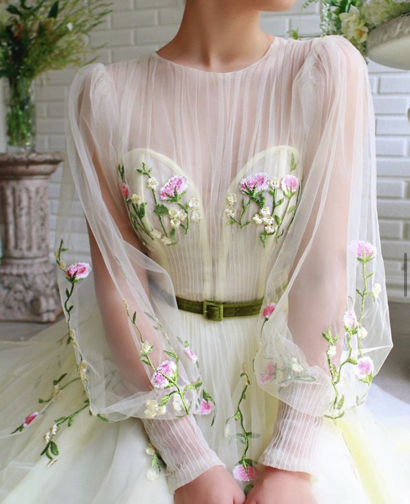 taylor swift (debut)