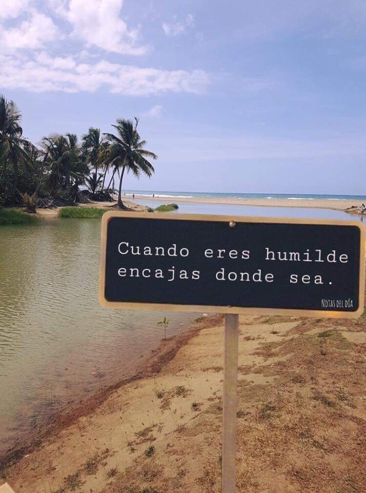 MarcosClarkG's tweet photo. Un saludo a todos los agradecidos de la vida 👌 https://t.co/Gse2IOP5bs