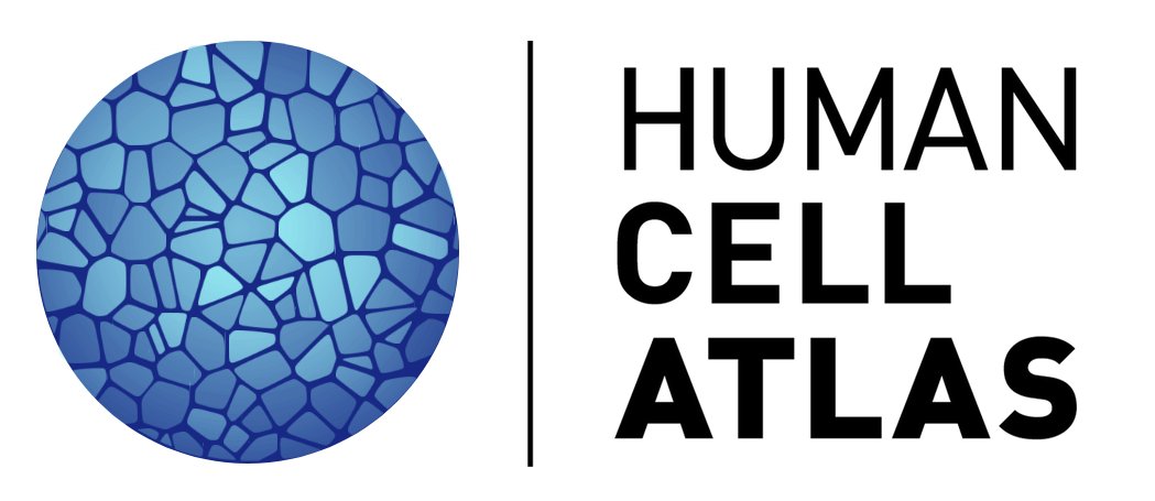 Ashraful Haque (@drashhaque) on Twitter photo Hear the latest advances in mapping every cell in the human body, 8th Sept, 9.30am-3pm AEST, to be discussed by invited speaker, Jay W. Shin PhD, HCA member & #SingleCell researcher biomedicalsciences.unimelb.edu.au/news-and-event…
<a href="/JayShin/">JayShin</a> <a href="/humancellatlas/">Human Cell Atlas</a> <a href="/broadinstitute/">Broad Institute</a> <a href="/sangerinstitute/">Wellcome Sanger Institute</a> <a href="/wellcometrust/">Wellcome</a> Hear the latest advances in mapping every cell in the human body, 8th Sept, 9.30am-3pm AEST, to be discussed by invited speaker, Jay W. Shin PhD, HCA member & #SingleCell researcher biomedicalsciences.unimelb.edu.au/news-and-event…
<a href="/JayShin/">JayShin</a> <a href="/humancellatlas/">Human Cell Atlas</a> <a href="/broadinstitute/">Broad Institute</a> <a href="/sangerinstitute/">Wellcome Sanger Institute</a> <a href="/wellcometrust/">Wellcome</a>