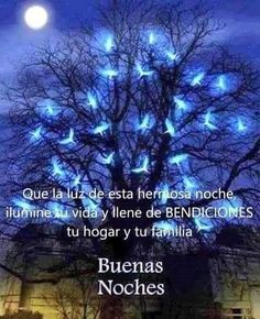 Guadalupe LM on Twitter: Guadalupe LM on Twitter: