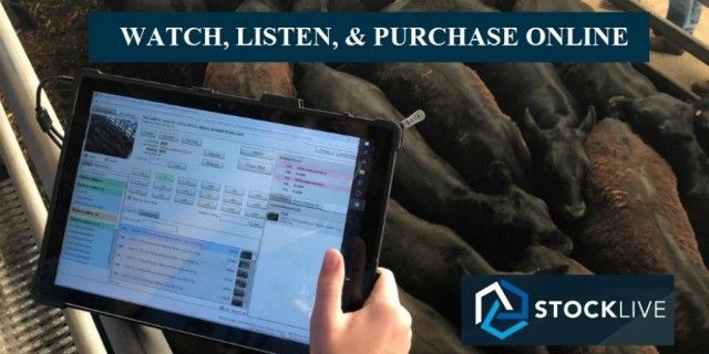 Our AgTech spotlight this week is on <a href="/StockLiveAus/">StockLive</a> - an online auction platform with live video &amp; audio designed to support the saleyard &amp; stud sale industry. It can increase the number of buyers able to participate without the need to travel -&gt; farmtable.com.au/accelerate-sof… #ausag
