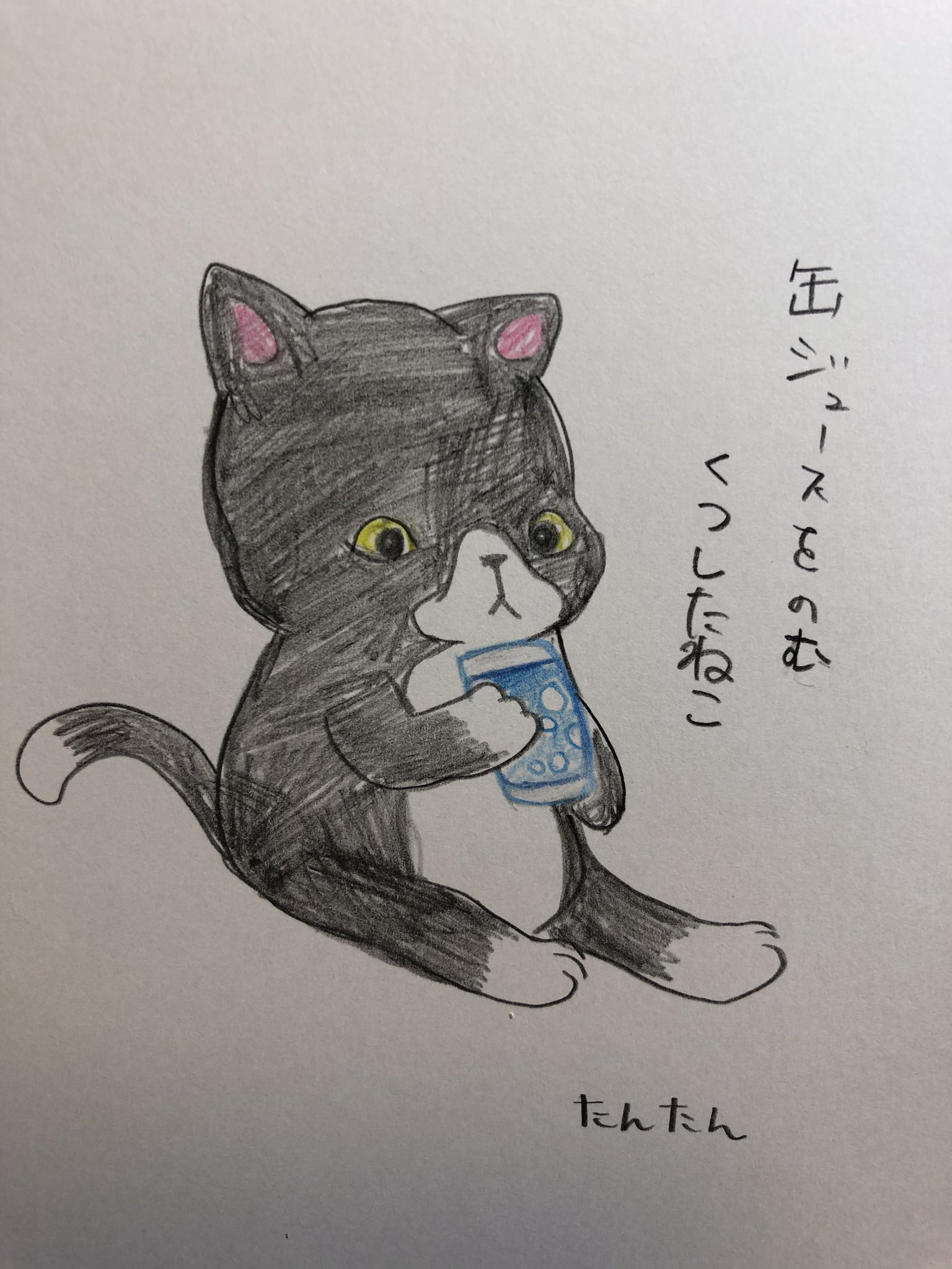 たんたん 毎日くつしたねこ 缶ジュースを飲むくつしたねこ イラスト 猫 色鉛筆 絵柄が好みって人がいればいいなぁ T Co Zaqjj4f91u Twitter