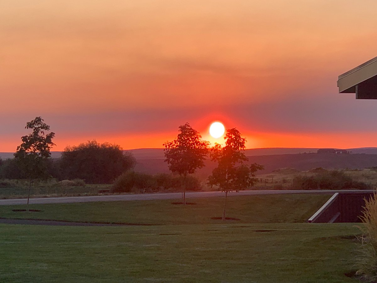 Eritage Resort tweet media