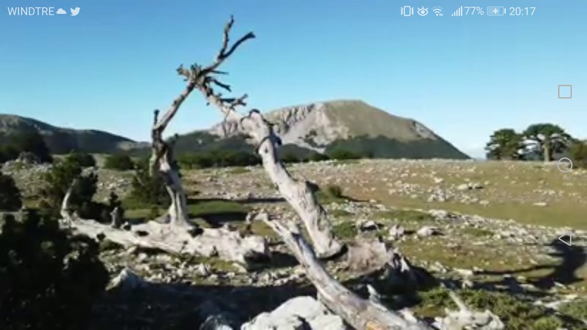 Pollino Montagna incantata #photography #nationalpark #Basilicata #terradimezzo #book #viaggioinitalia #trekkinglife