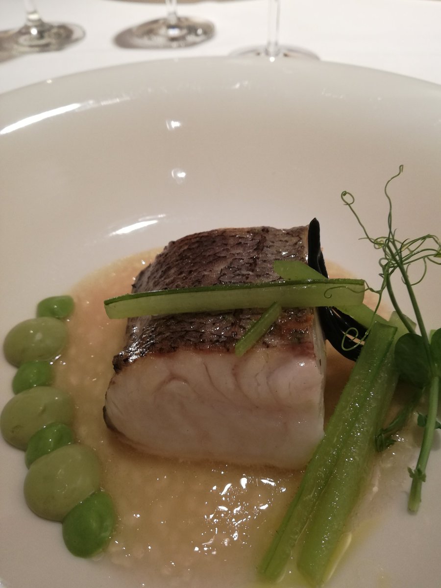 montse oyague (@montseoyague) on Twitter photo Un #DiaEspecial, merecía un #SitioEspecial como <a href="/Rodero_Rest/">Restaurante Rodero</a>. Excelente comida, impecable servicio 🙌🙌🔝 #Nivelazo en #Gastronomia que nos gastamos en #navarra #muyfan <a href="/GuiaMichelin_ES/">La Guía MICHELIN</a> <a href="/Rest_del_Reyno/">Restaurantes del Reyno</a> Un #DiaEspecial, merecía un #SitioEspecial como <a href="/Rodero_Rest/">Restaurante Rodero</a>. Excelente comida, impecable servicio 🙌🙌🔝 #Nivelazo en #Gastronomia que nos gastamos en #navarra #muyfan <a href="/GuiaMichelin_ES/">La Guía MICHELIN</a> <a href="/Rest_del_Reyno/">Restaurantes del Reyno</a>