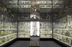 Hunter convinced many patients to give him their bodies after death or surgical specimens during life. Some specimens, like the skeleton of ‘Irish Giant’ Charles Byrne, were obtained by illegal means. Hunter amassed a huge collection of anatomical specimens, useful for teaching.