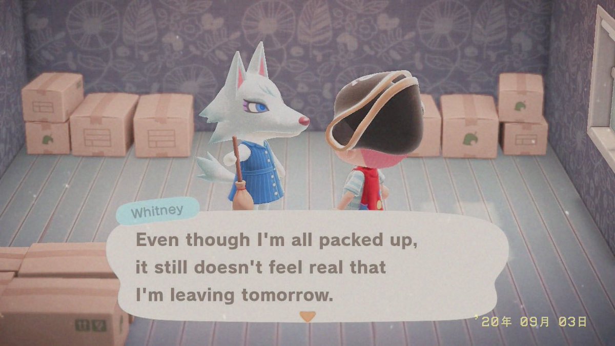 seanecal_'s tweet photo. Ungifted Whitney in boxes rn!! Dm me if you’re interested!! :) #acnhvillagerinboxes #acnhvillagertrade @CrossingTrade https://t.co/b7gtrgp6NE