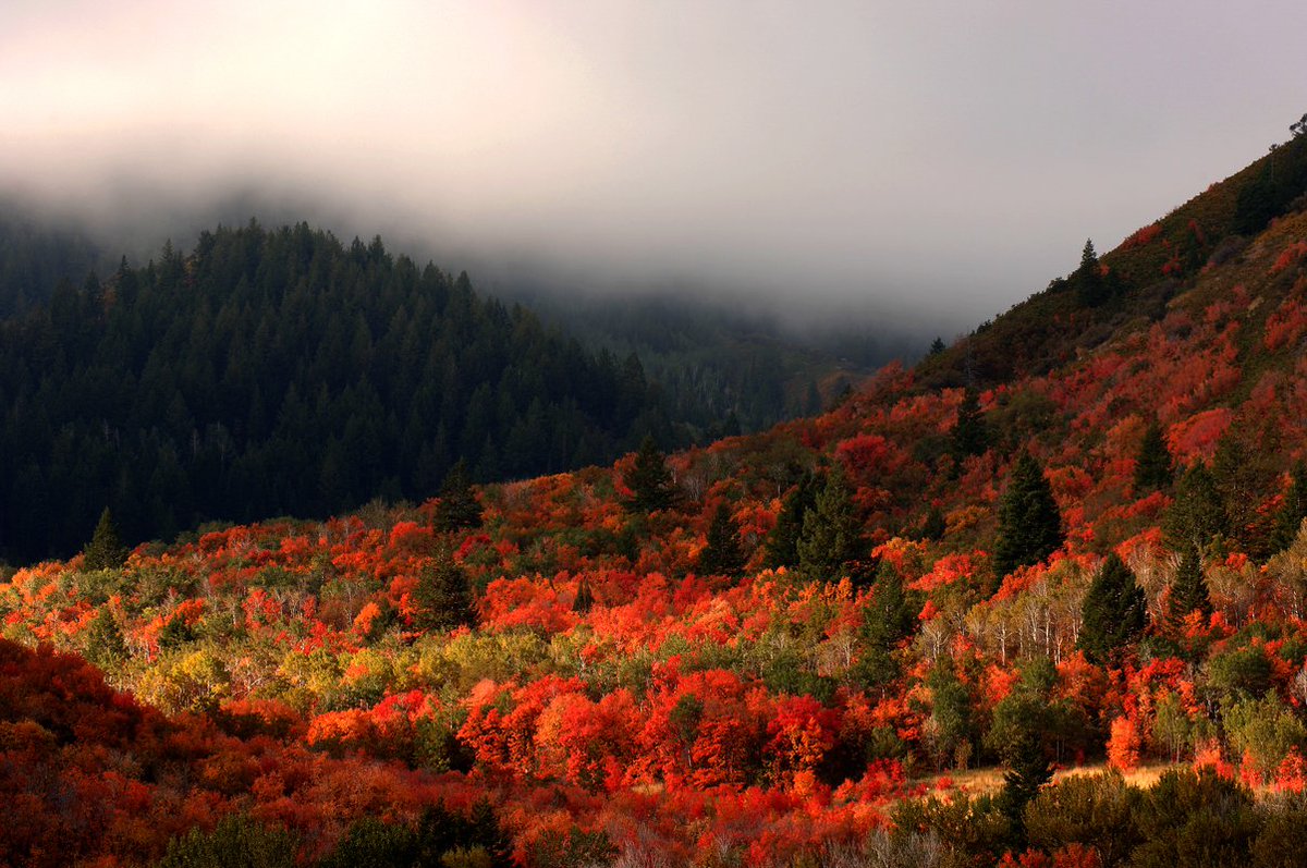 VisitUtah's tweet image. Mentally, we are here. 🍁🍂🎃