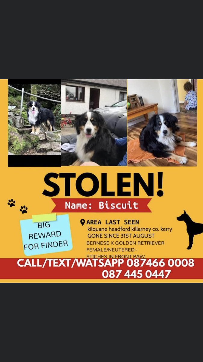 rathmoregaa's tweet photo. Please retweet and hopefully he’ll help find @Gneeveguillagaa @KnocknagreeGAA https://t.co/SUDOuafElC