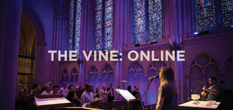 gracecathedral's tweet photo. Join The Vine SF on Facebook live tonight for an inclusive church community, uplifting prayers and to explore complicated relationships through the lens of Moses' encounter with God ๐ #graceathome #inclusivechurch #Episcopalian #progressivefaith https://t.co/vrV7OB5k4I