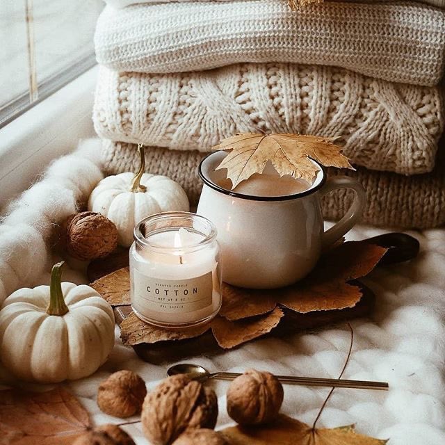 itsnadialouise_'s tweet photo. mentally i am here https://t.co/blP5fqIsJQ