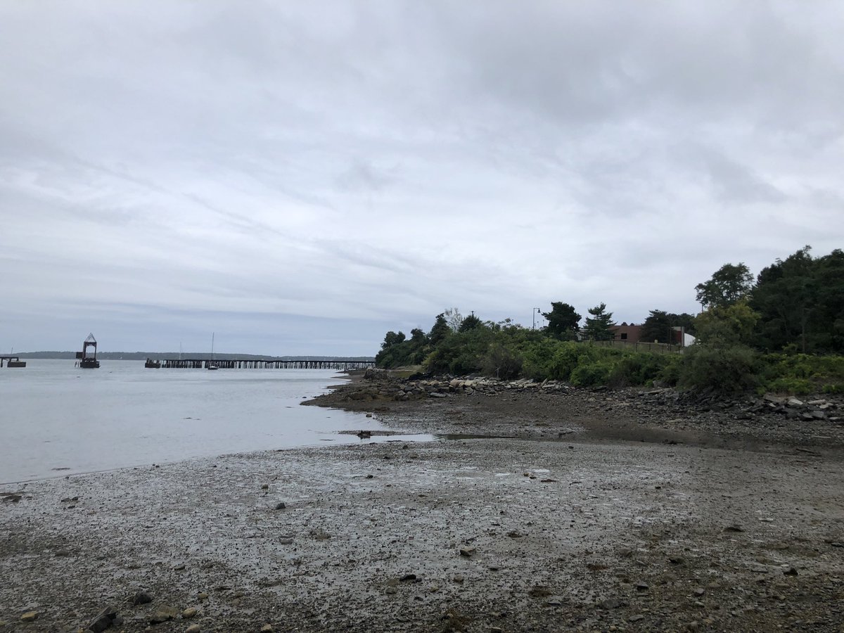 LexieOConnorWX's tweet image. Quick post vacation...pre bed run! See you back on #GoodDayMaine tomorrow morning! 🏃‍♀️ #liveoncbs13 @WGME