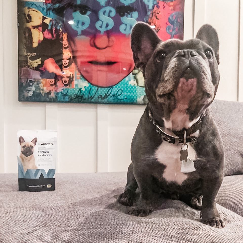 woofwelldogs's tweet photo. I call dis one "Big Pimpin' with Frenchie" #ArtistoftheSummer #WoofWellDogs #FrenchBulldogWorld
๐ท by Josh R. @JoshJRoyal https://t.co/NBX2de6YgY