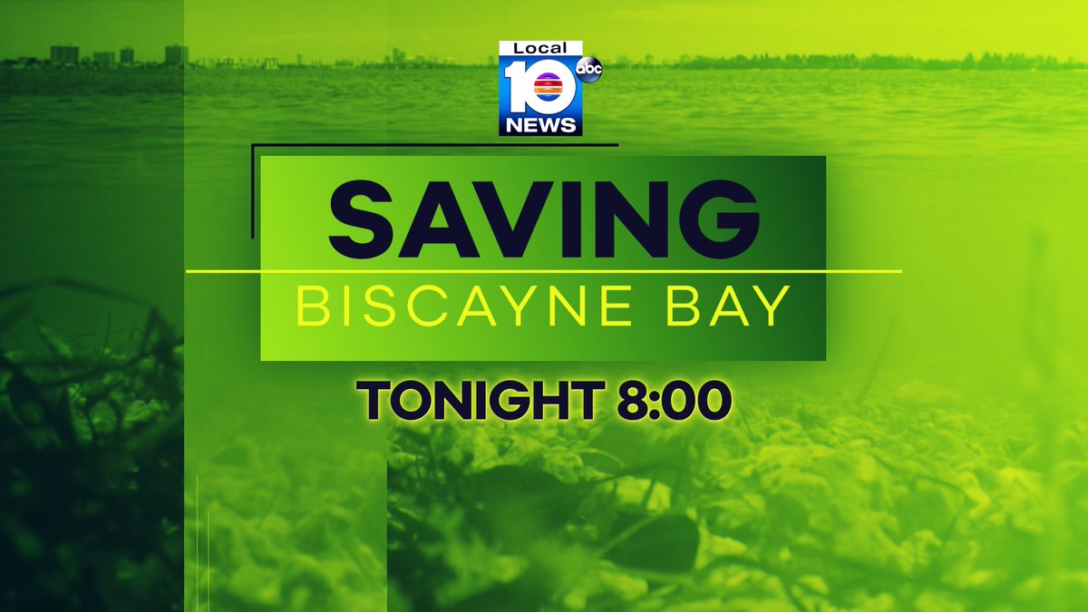 The fish kill in #BiscayneBay was a symptom of a much larger problem, scientists say. Watch @WPLGLocal10 tonight at 8 p.m. @LOUISAGUIRRE @LouisWPLG will explain how we got here and what we need to all do to fix it. #savingbiscaynebay #savebiscaynebay