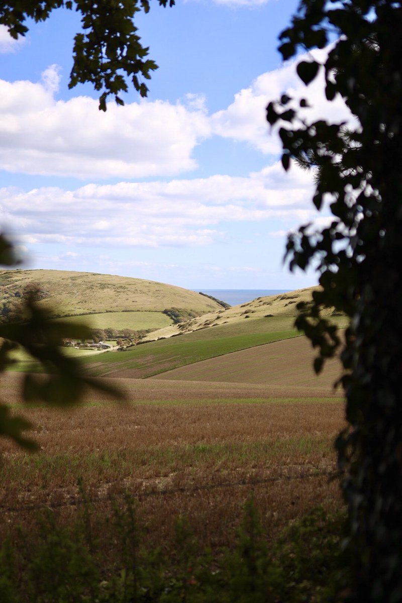 Had the most dreamy time exploring #Dorset and #DurdleDoor!