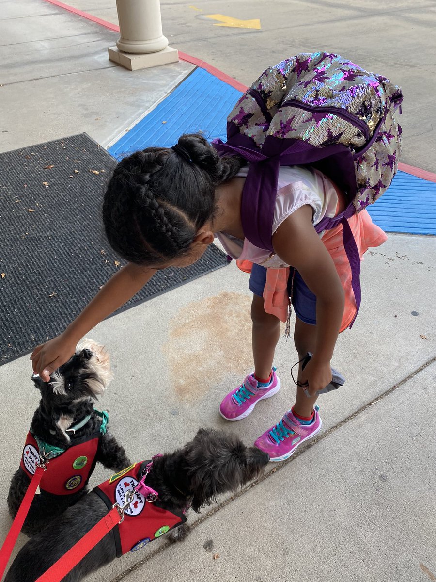 There is no better way to start our morning than greeting, and getting all the pets from our MBE 🐻s!! <a href="/HumbleISD_MBE/">Maplebrook Elem</a> #LightTheWay #mbeisfamily #mbebears2020