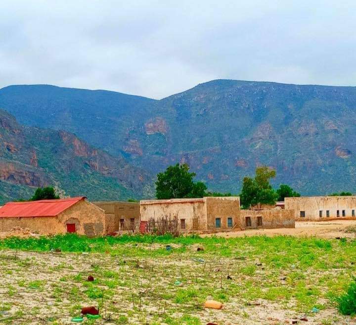jubbajama14's tweet photo. Murcanyo. Puntland #Somalia is where you can get #fish #frouts  and #meat . 

Came  enjoy 🧚‍♂️. https://t.co/q3ye89l6MC