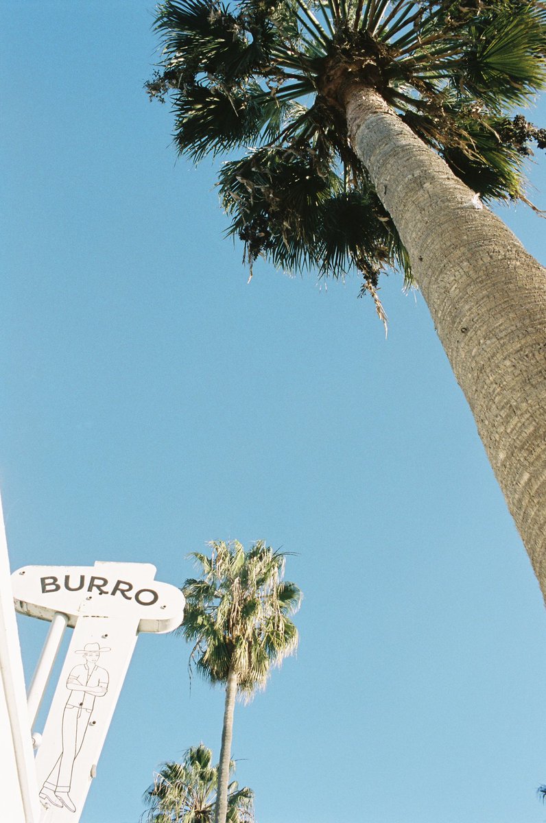 Venice #portra400 #canonelan7 #35mm #35mmfilm #film #analog