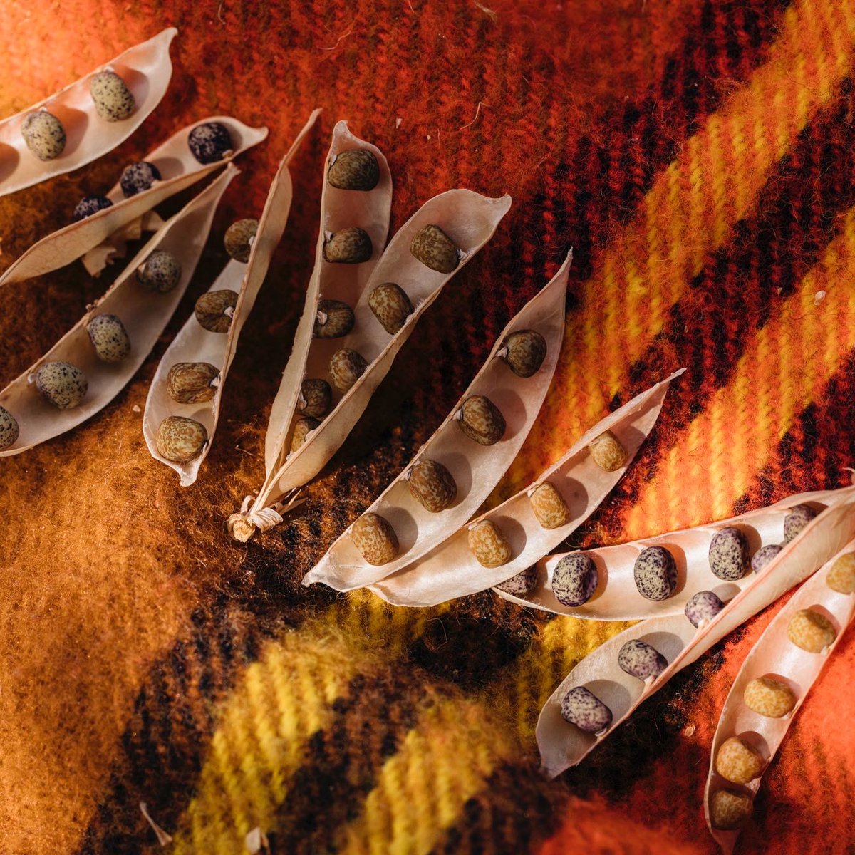 WillowsInn's tweet image. Summertime magic at Loganita Farm. #farmtotable