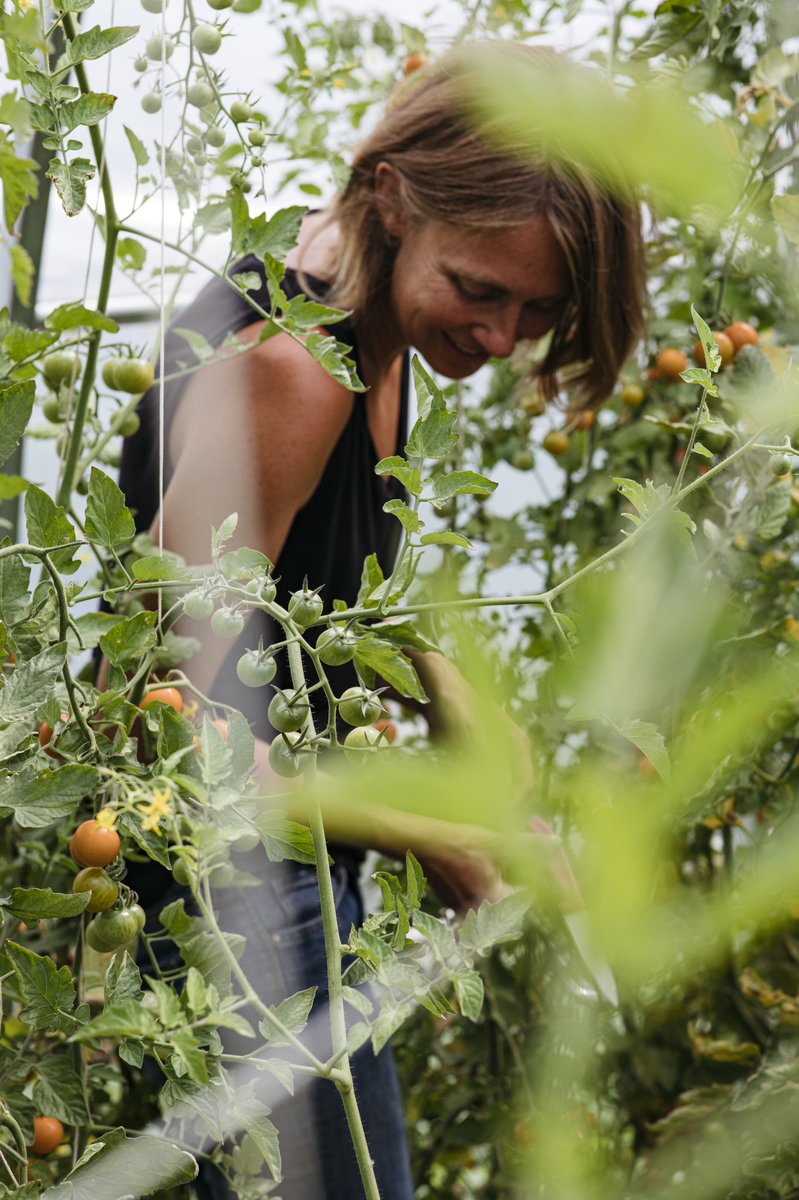 WillowsInn's tweet image. Summertime magic at Loganita Farm. #farmtotable