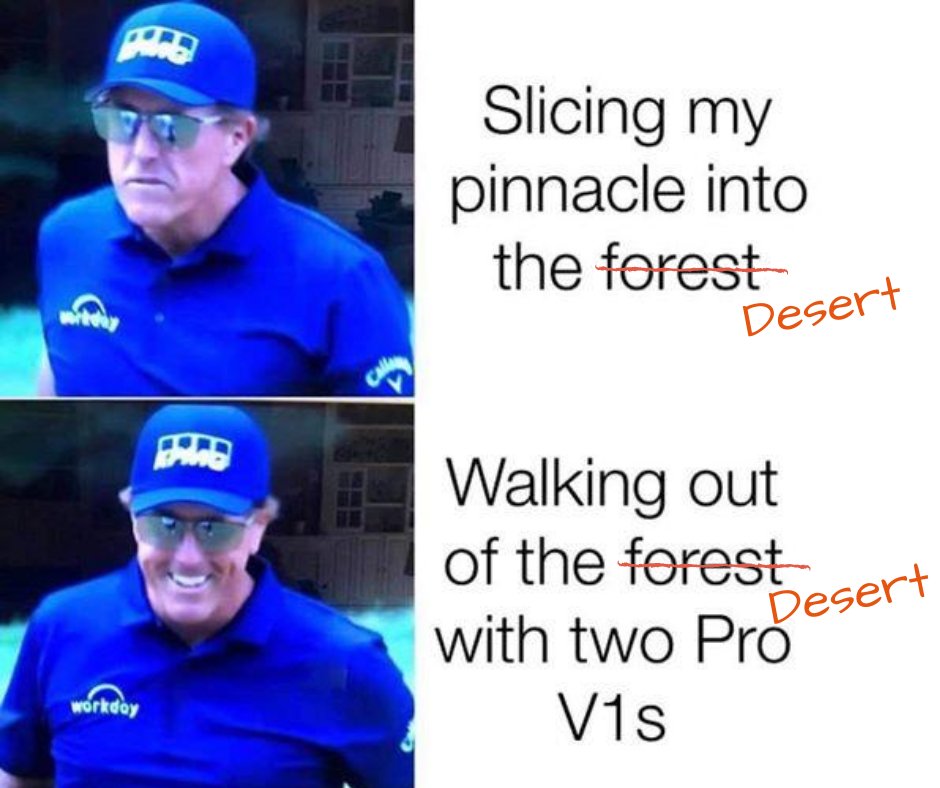 Painted Dunes tweet media