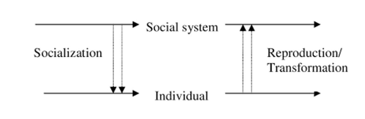 3) We need to understand both the social structures that socialise us and the agency we have to reflect on and either reinforce or transform them.“we are simultaneously free and constrained and we also have some awareness of it” Archer, 1995